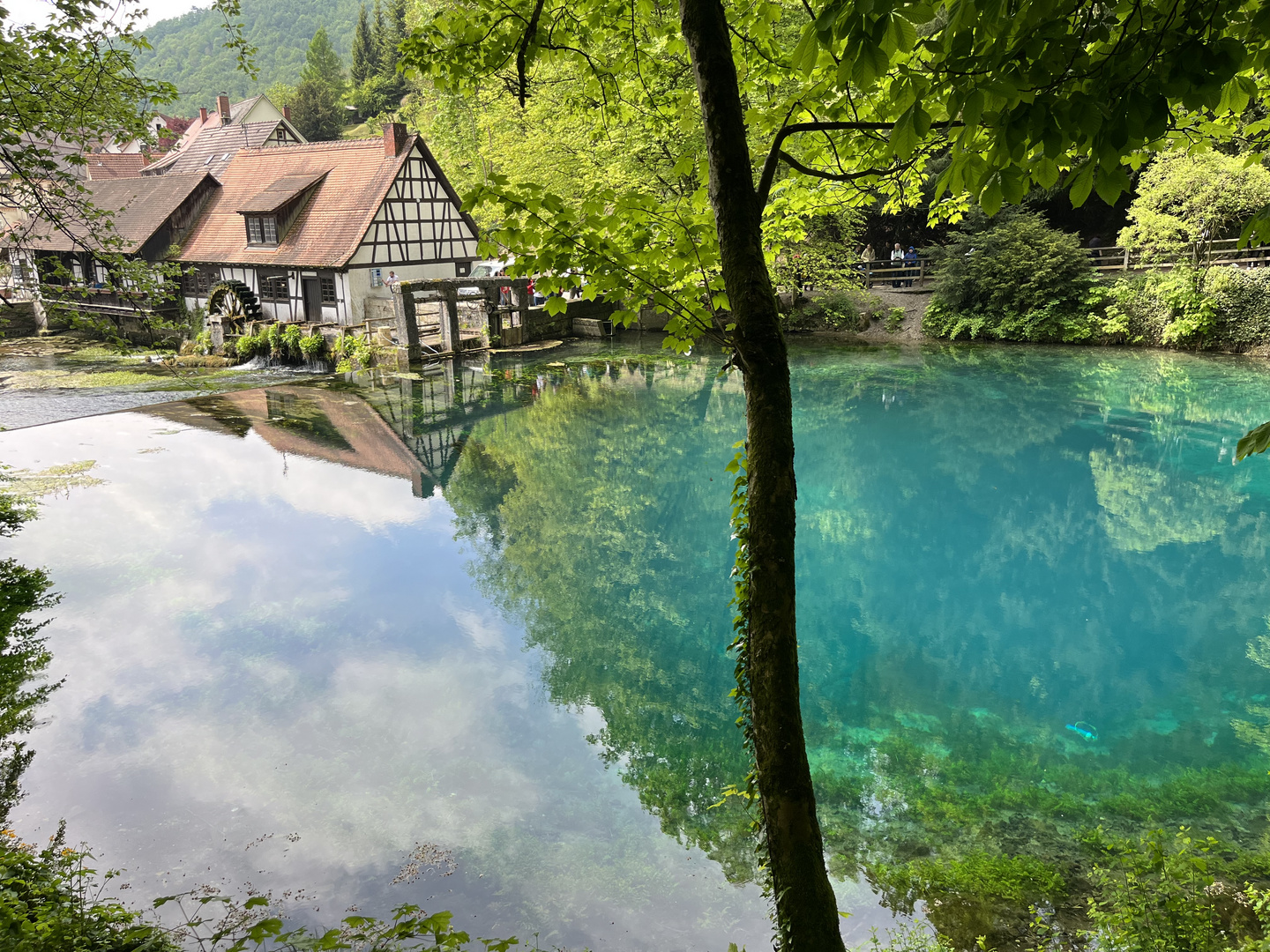 Am Blautopfstraße in Blaubeuren