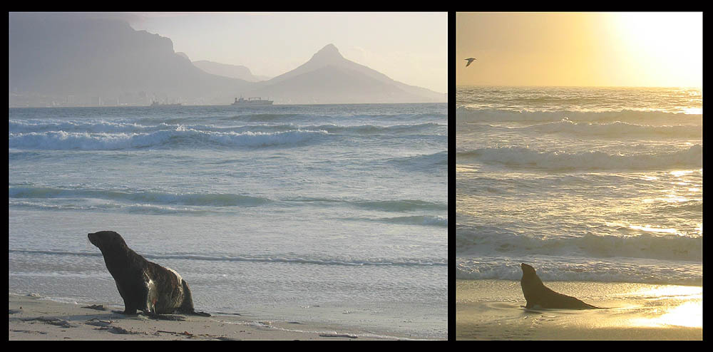 Am Bloubergstrand