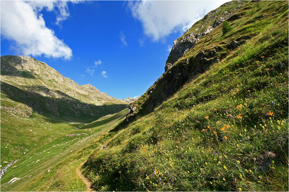 am Blumenweg im Erlsbachtal