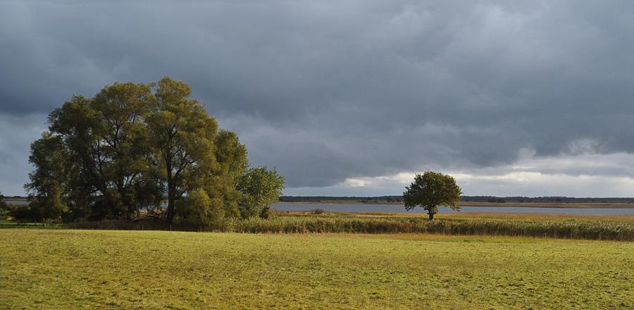 am Bodden