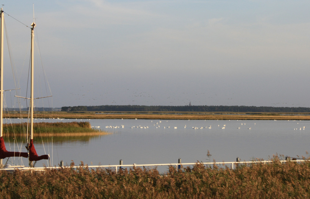 Am Bodden