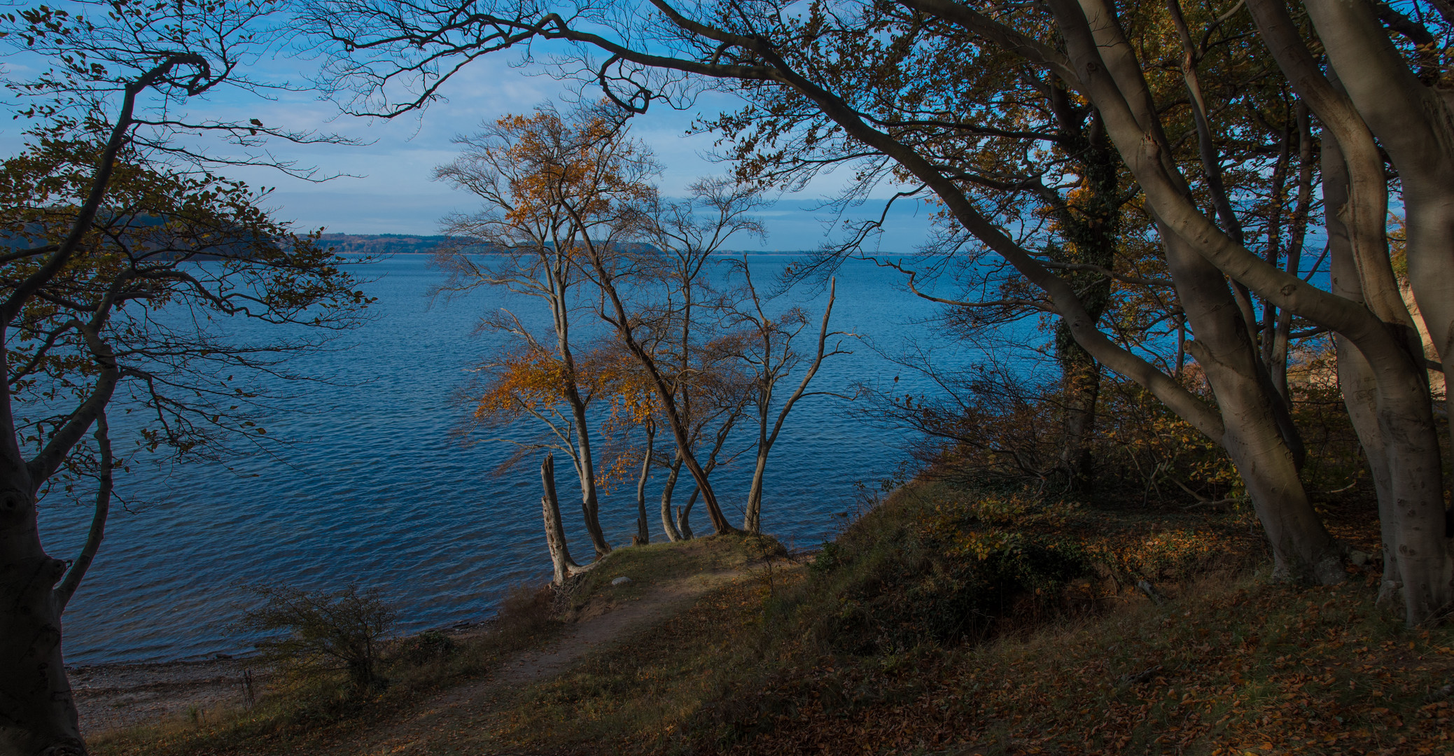 Am Bodden