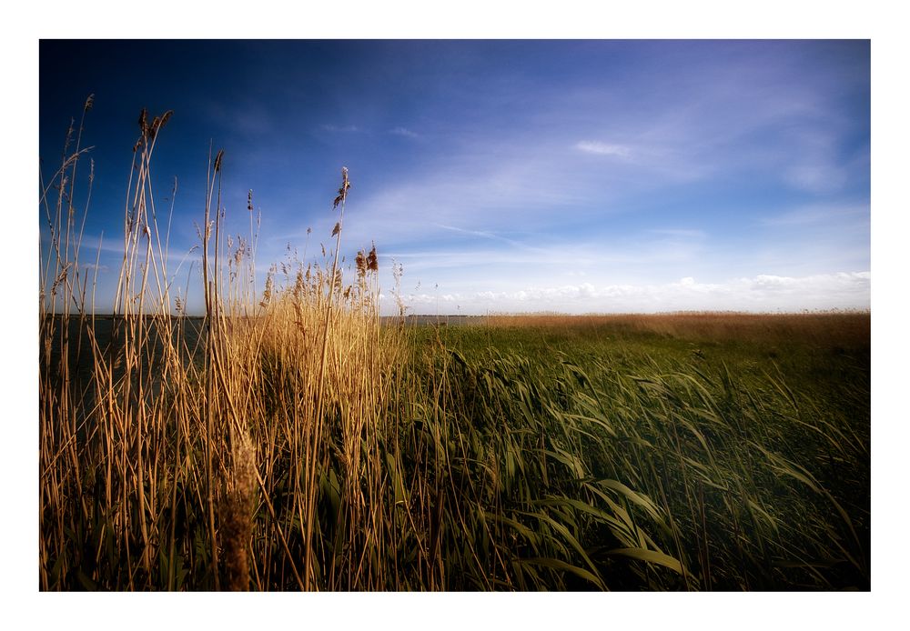 Am Bodden