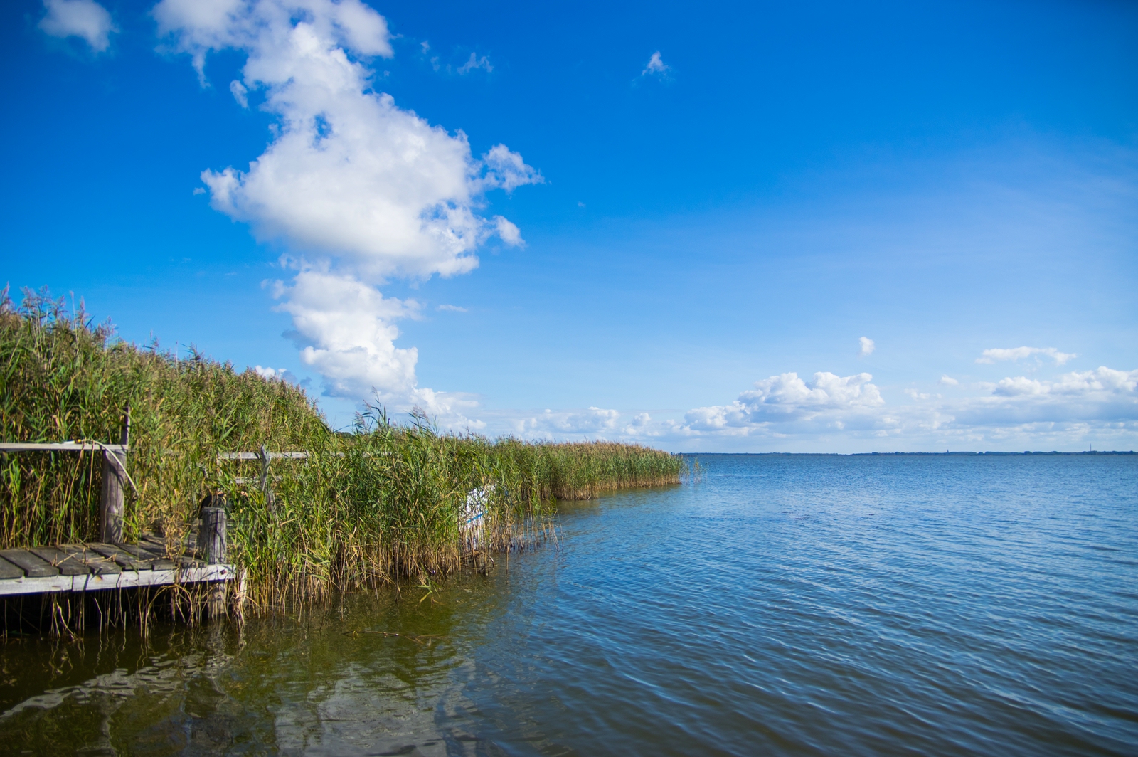 Am Bodden