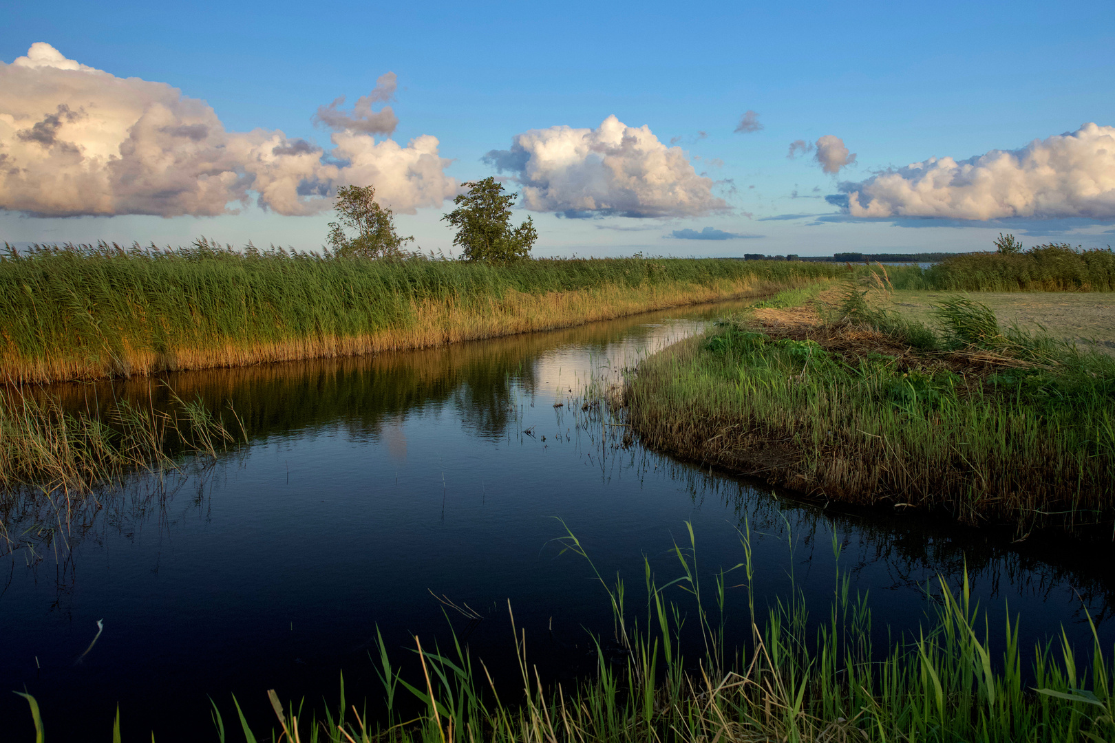 am Bodden