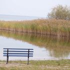 am Bodden