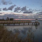 Am Bodden auf dem Darss