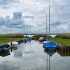 Am Bodden bei Born