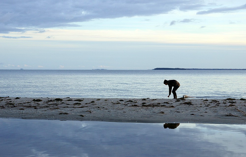 Am Bodden bei Thiessow mit dem Hund - Rügen