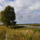 Am Bodden bei Zingst