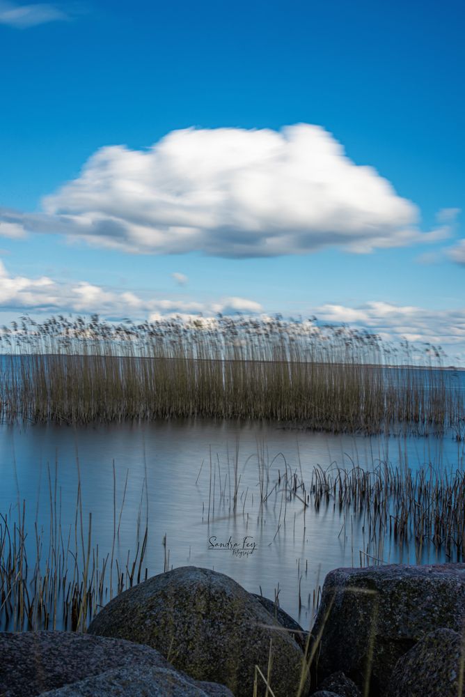 Am Bodden Foto & Bild deutschland, europe, mecklenburg vorpommern
