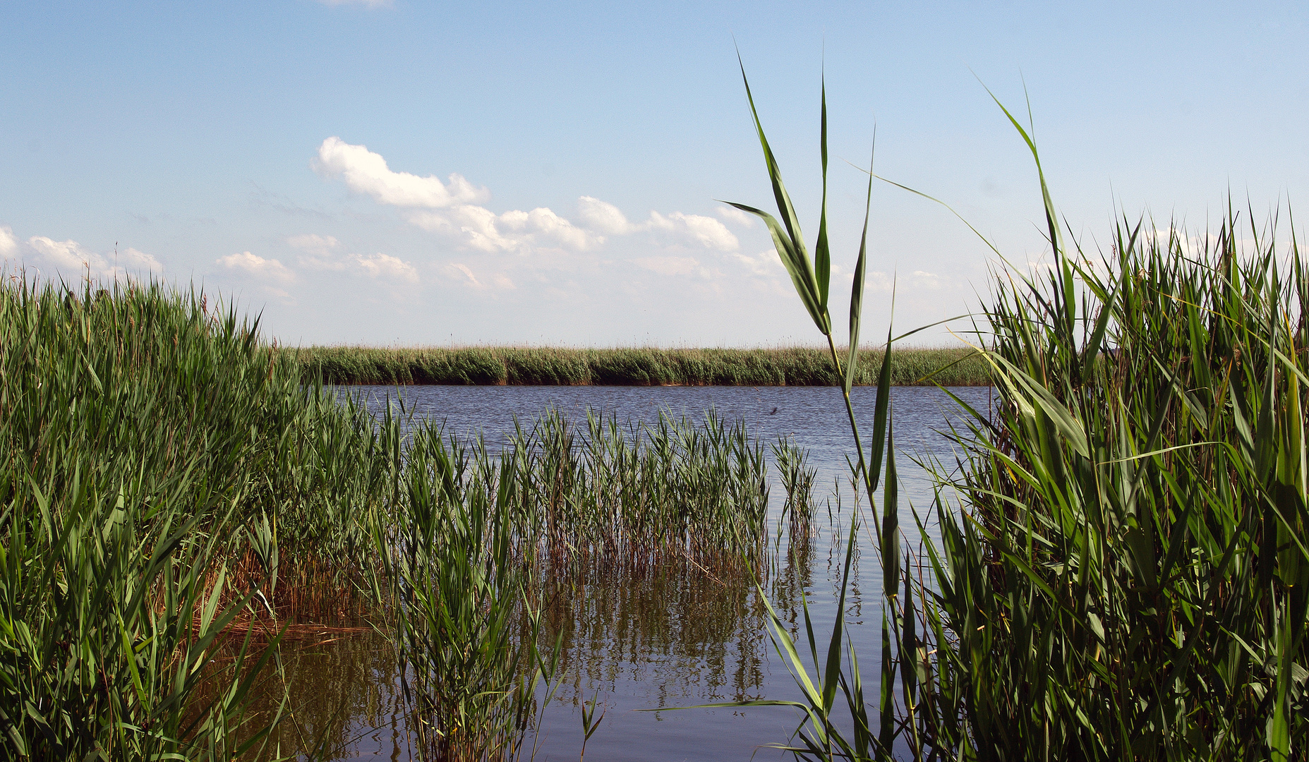 Am Bodden