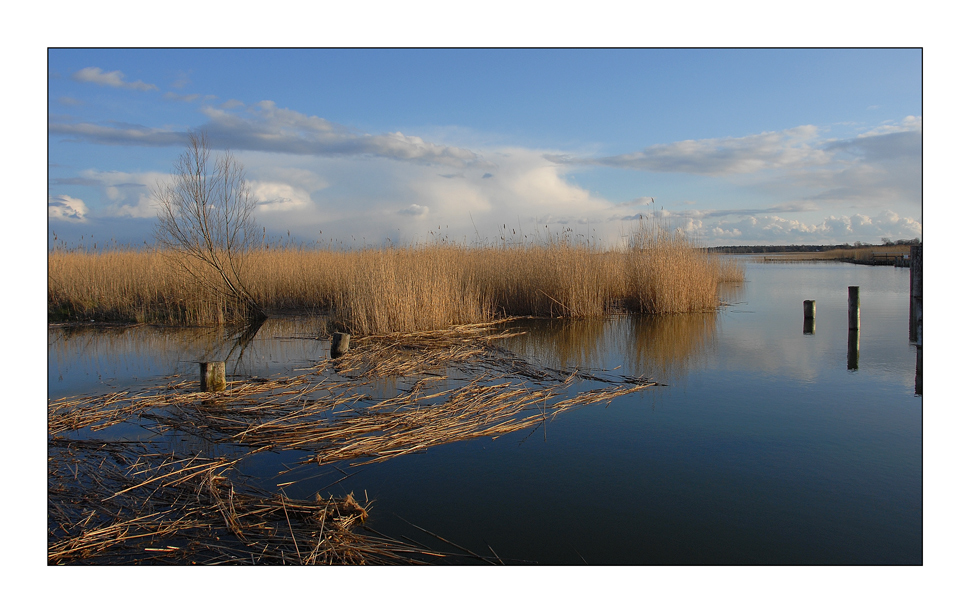 Am Bodden