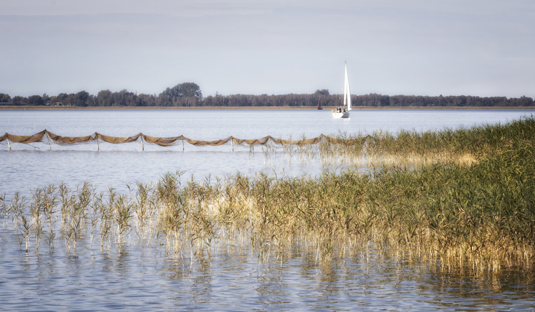 am Bodden  ...