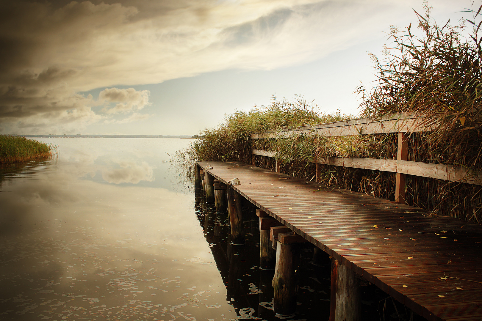 Am Bodden (Darß)