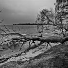 Am Bodden - dem Wetter angepasst... 