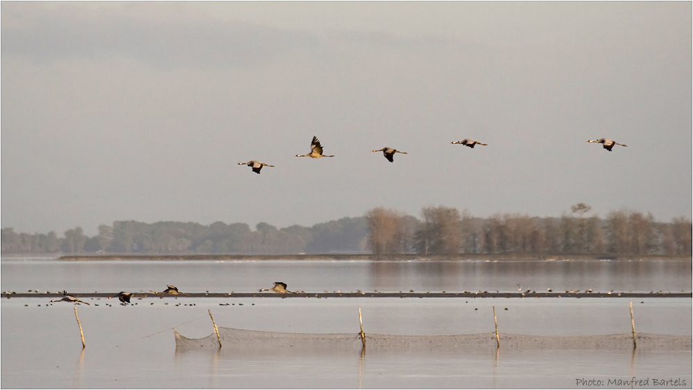 Am Bodden...