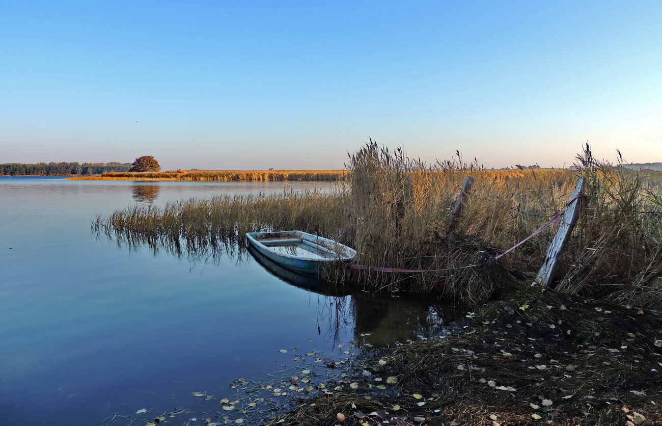 am Bodden