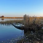 am Bodden