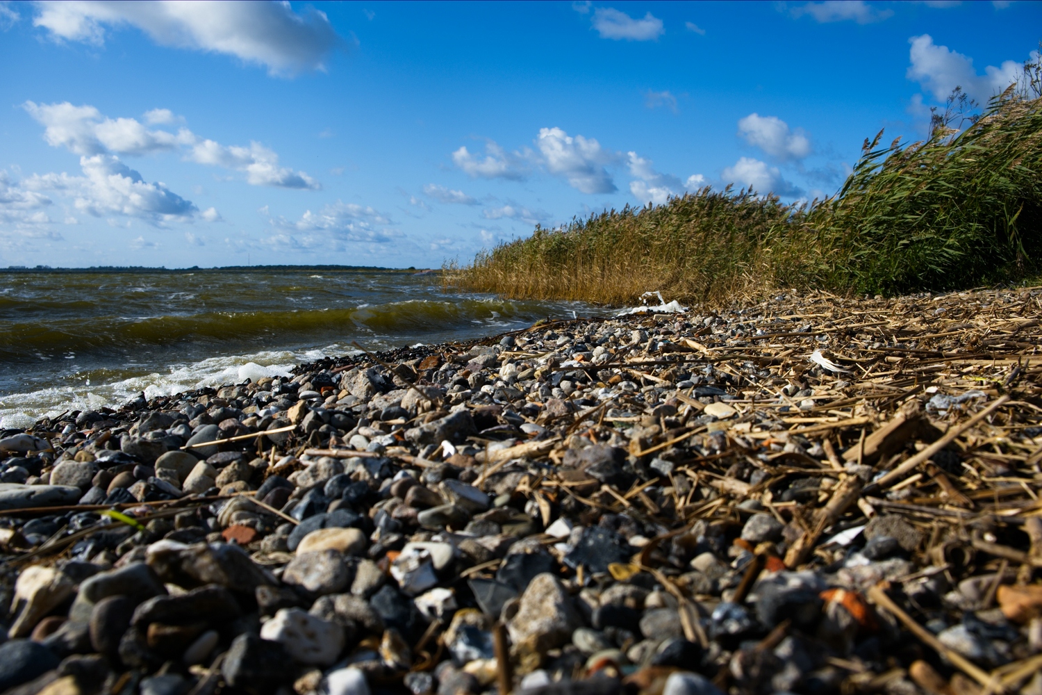 Am Bodden