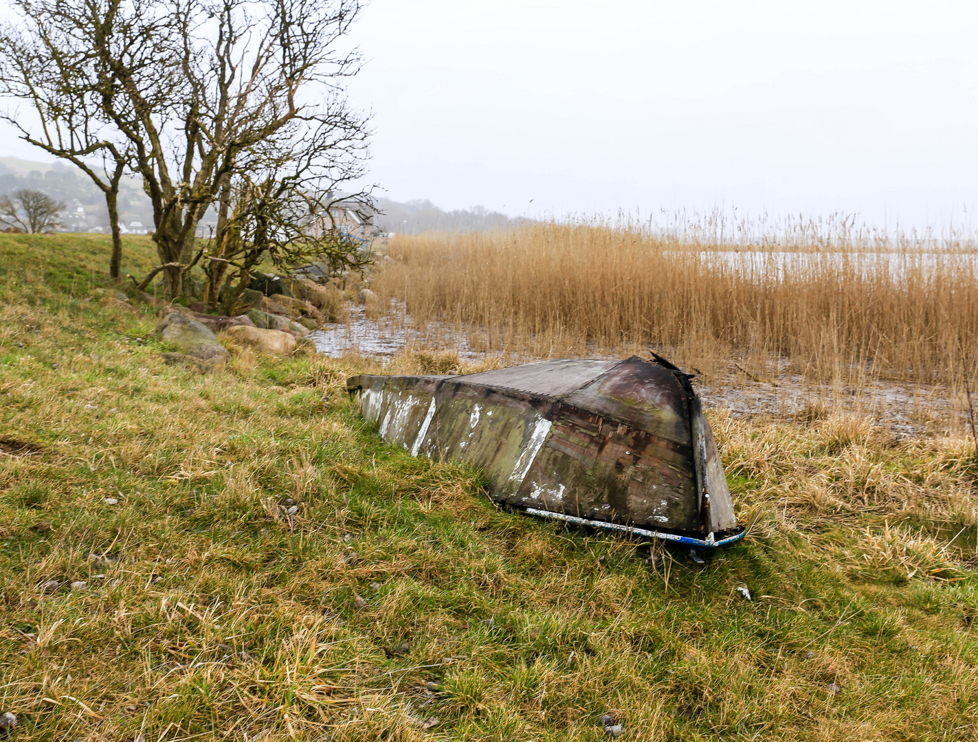 Am Bodden von Groß Zicker