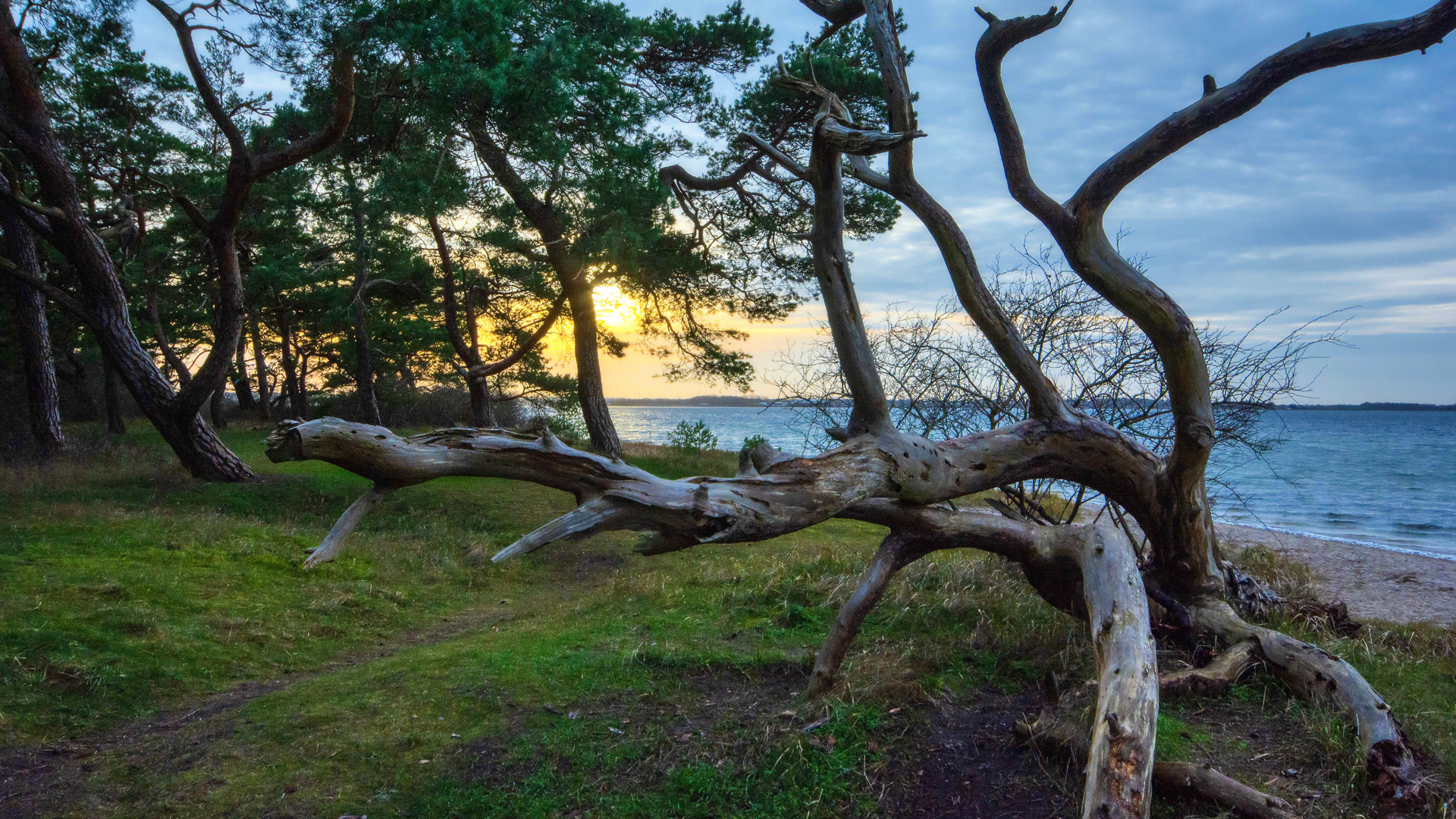 Am Boddenstrand 