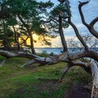 Am Boddenstrand 