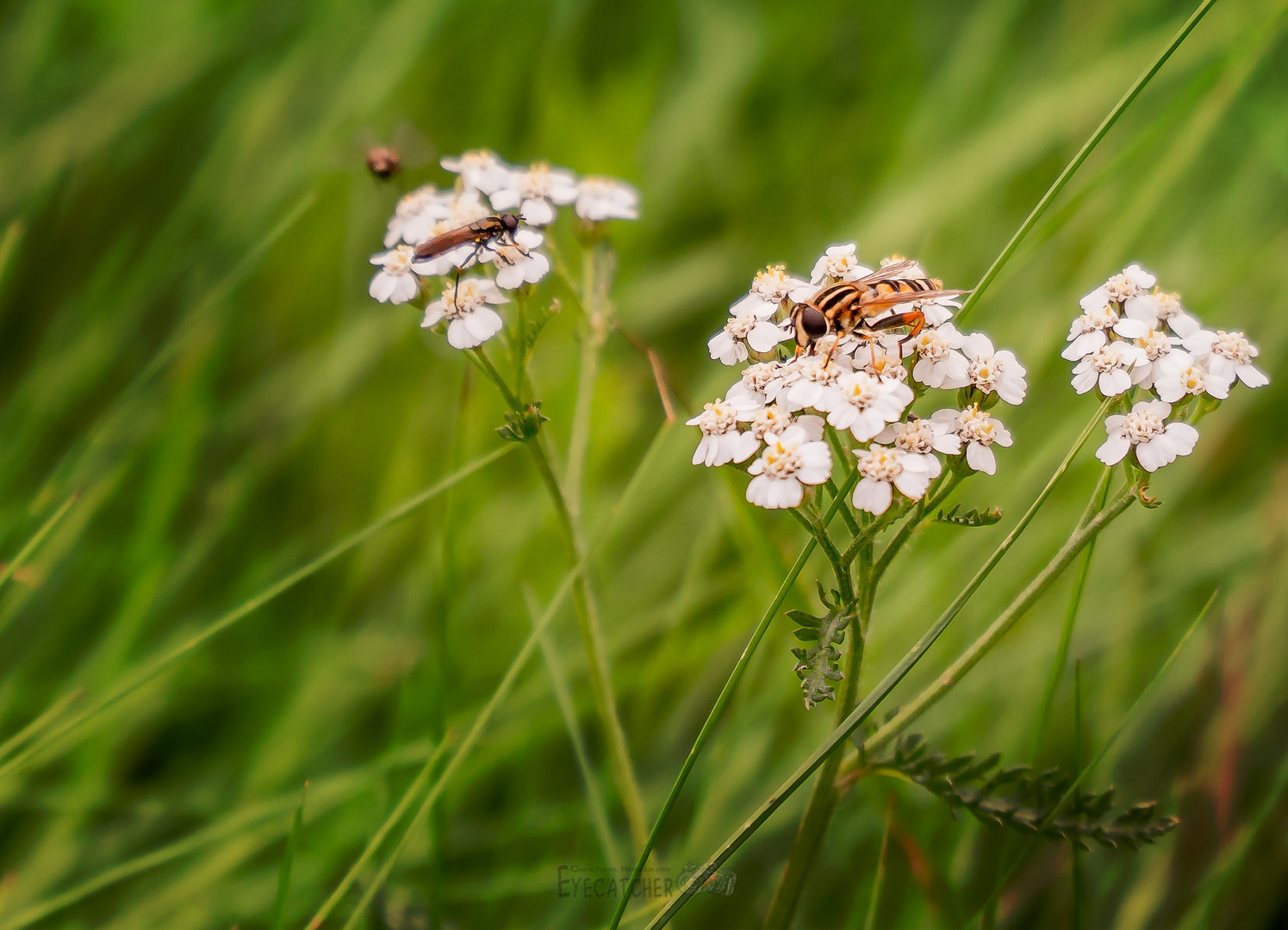 Am Boden der Wege