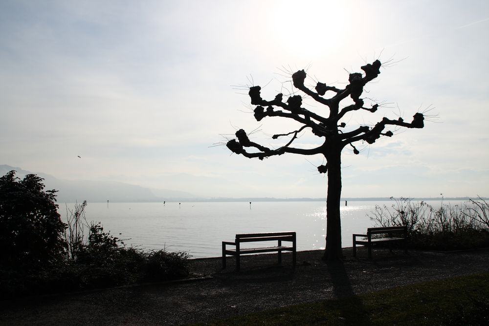 am Bodensee...