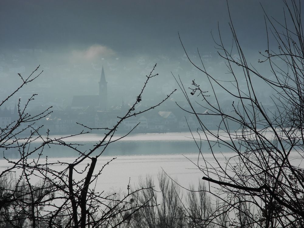 Am Bodensee von rosenblume75 