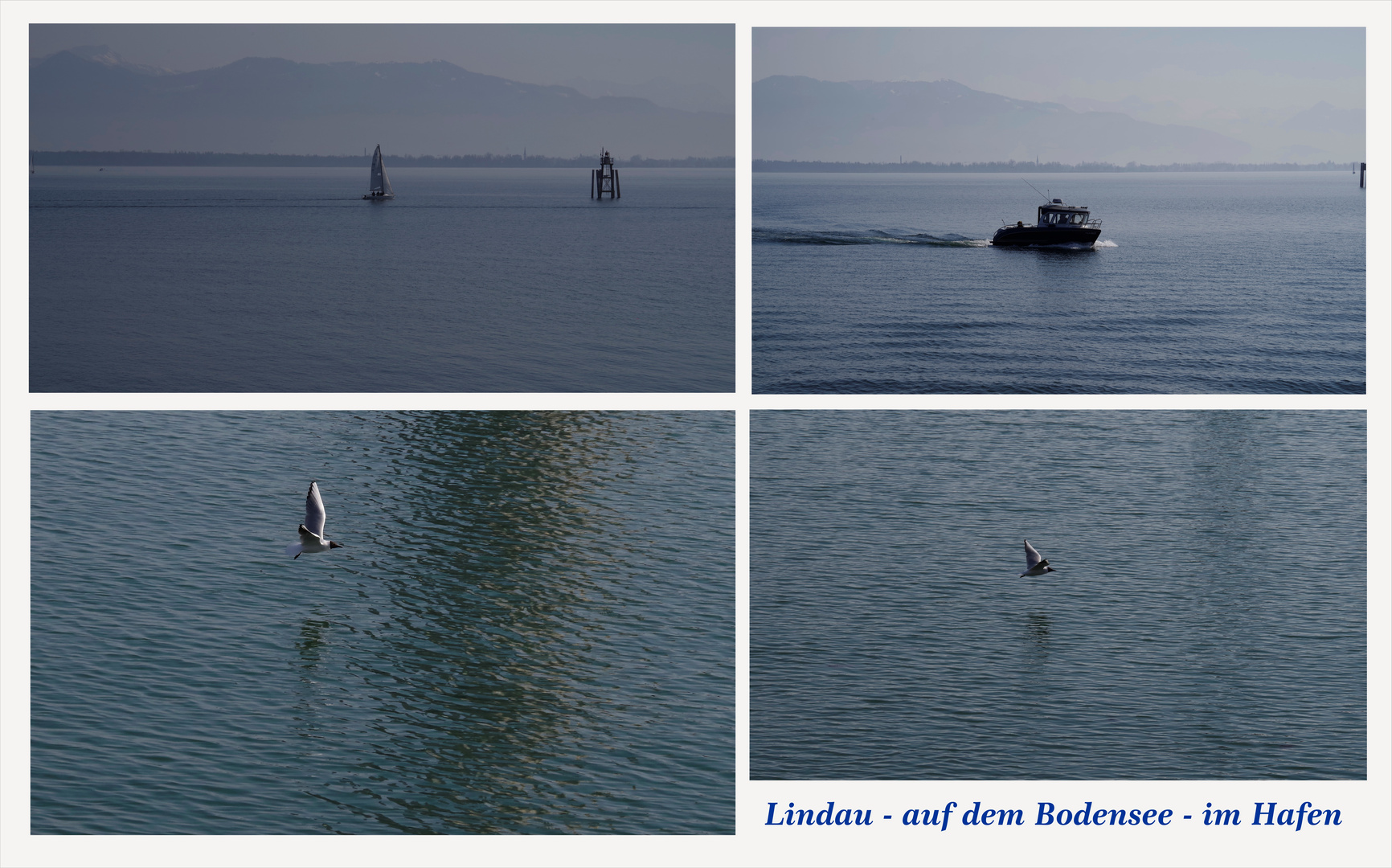 ...am Bodensee