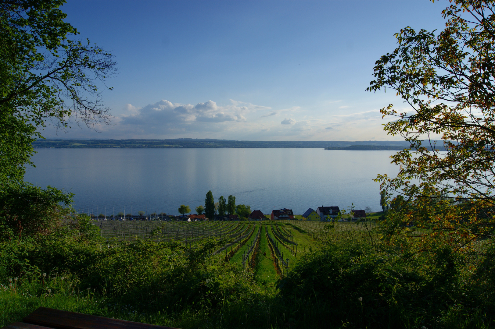 am Bodensee