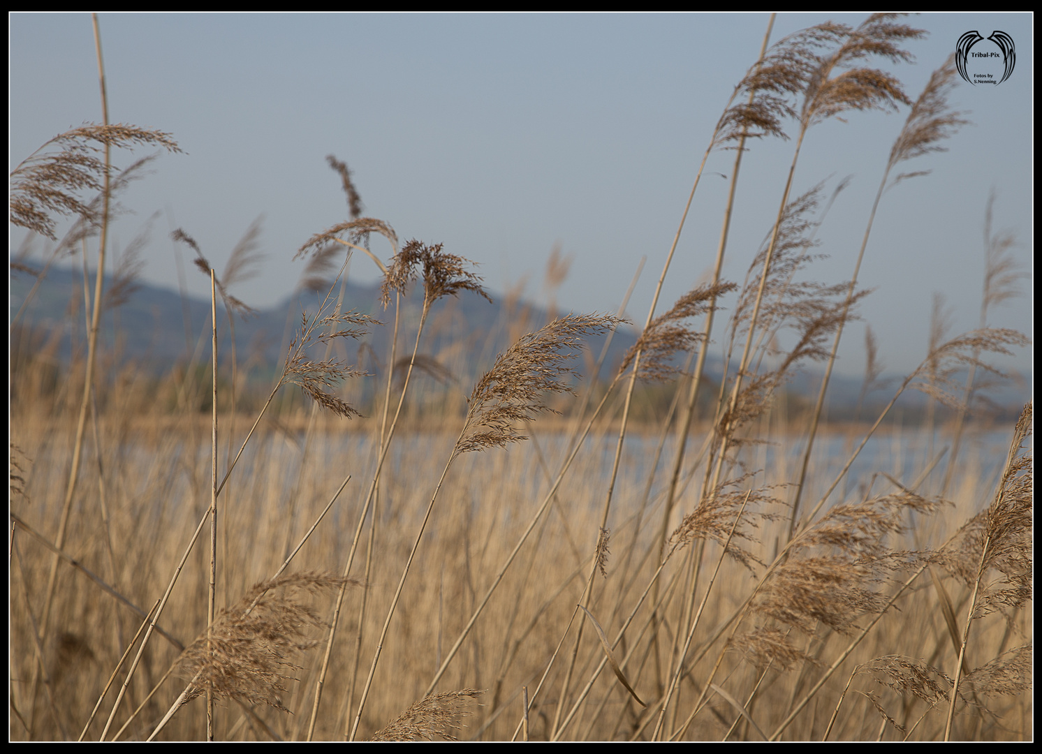 Am Bodensee...