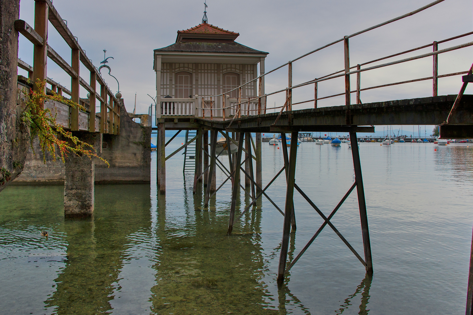 Am Bodensee