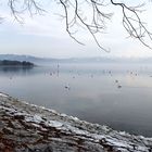 am Bodensee -2-