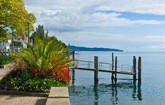 Am Bodensee (2)