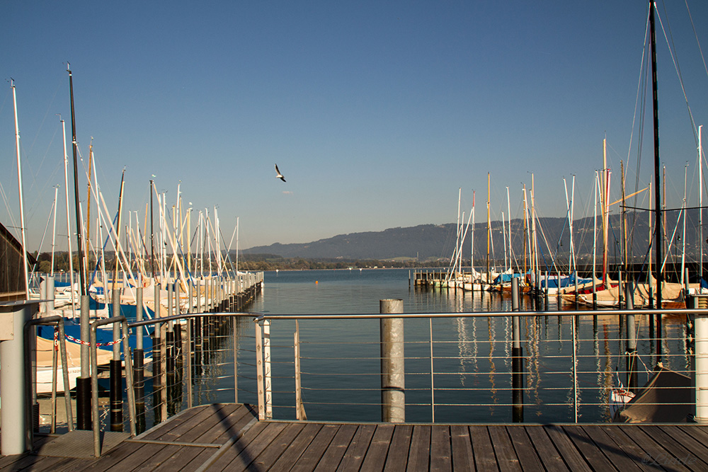 am Bodensee 2