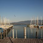 am Bodensee 2