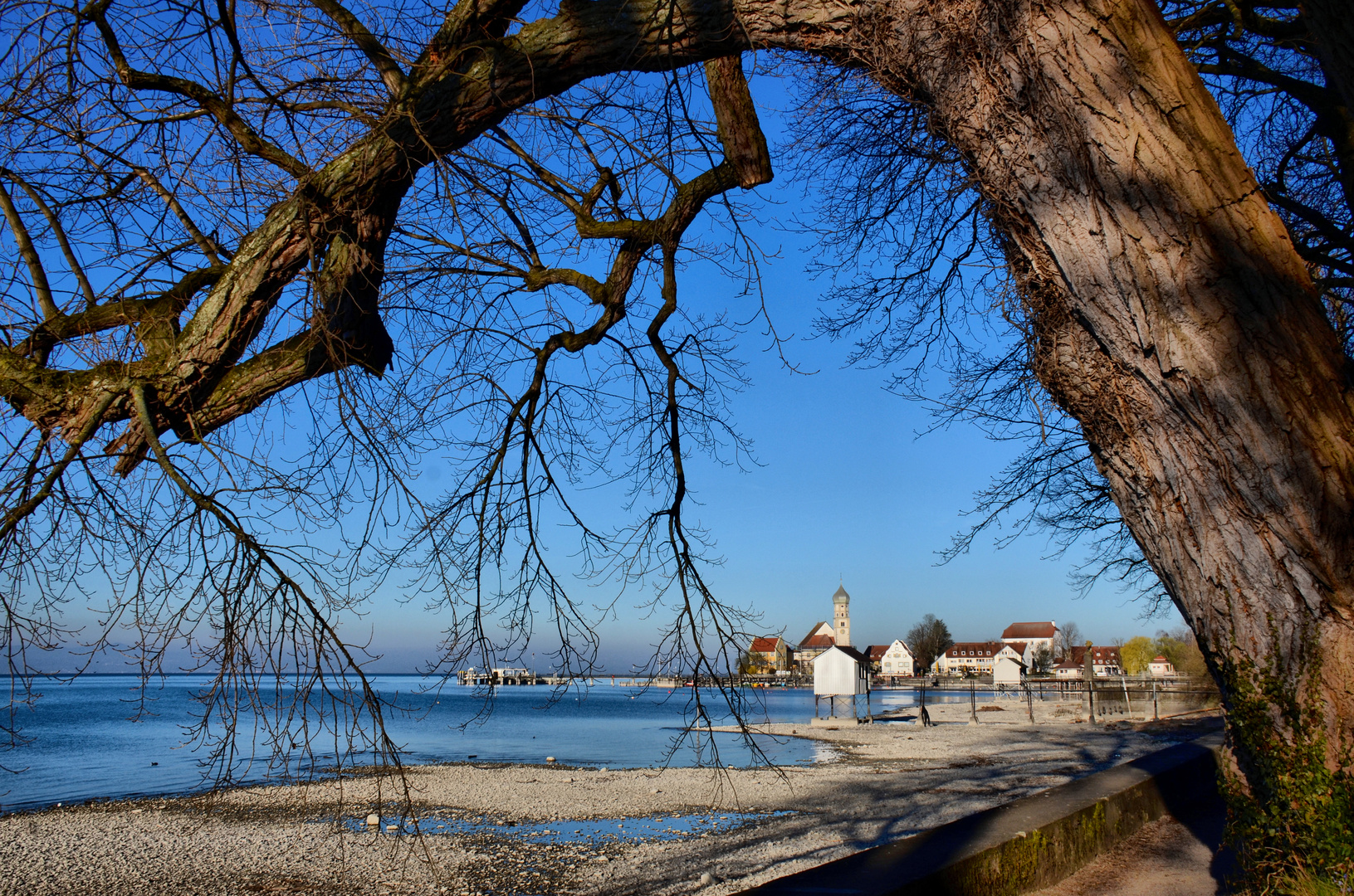 am Bodensee