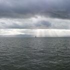 am Bodensee 28.12.12 (1)