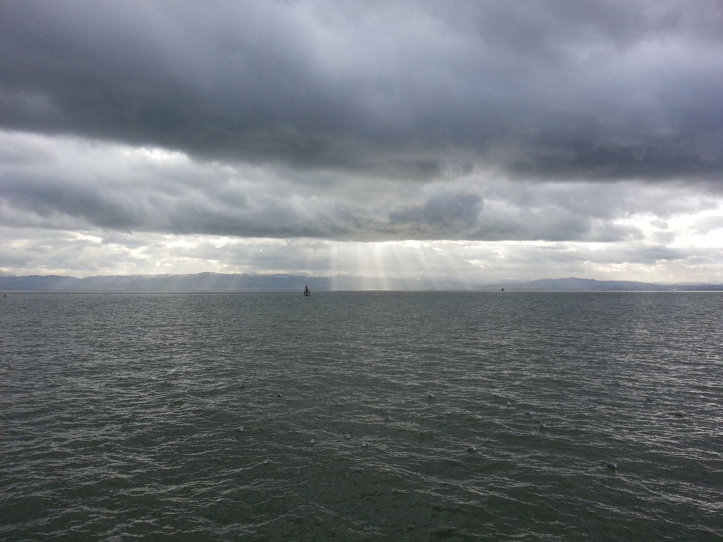 am Bodensee 28.12.12 (2)