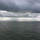 am Bodensee 28.12.12 (2)