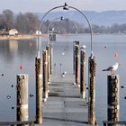 am Bodensee -3-