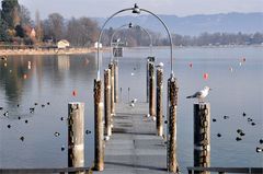 am Bodensee -3-