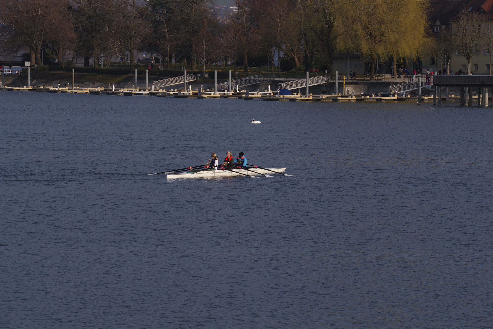 ...am Bodensee