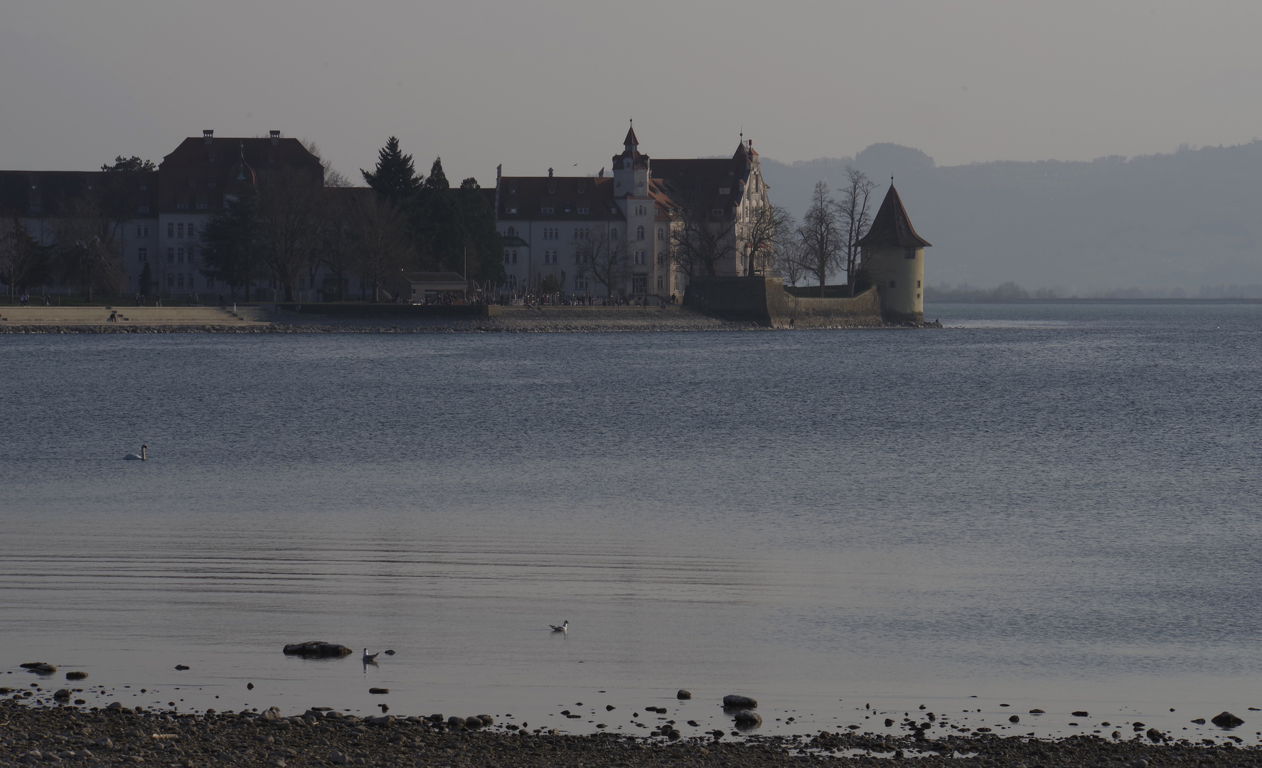 ..am Bodensee