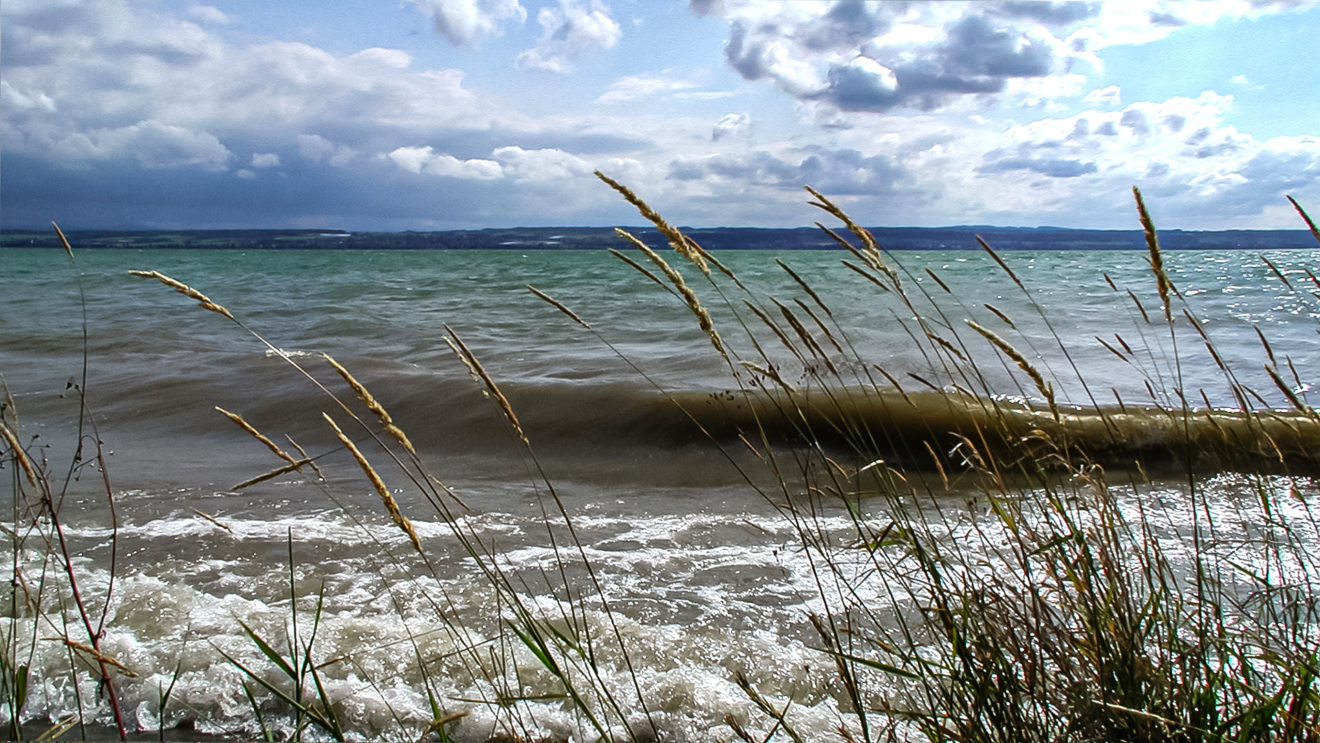 Am Bodensee