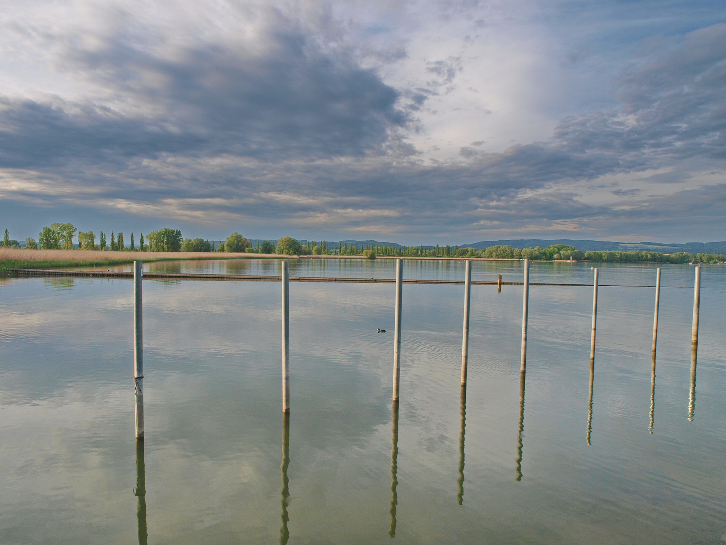 Am Bodensee