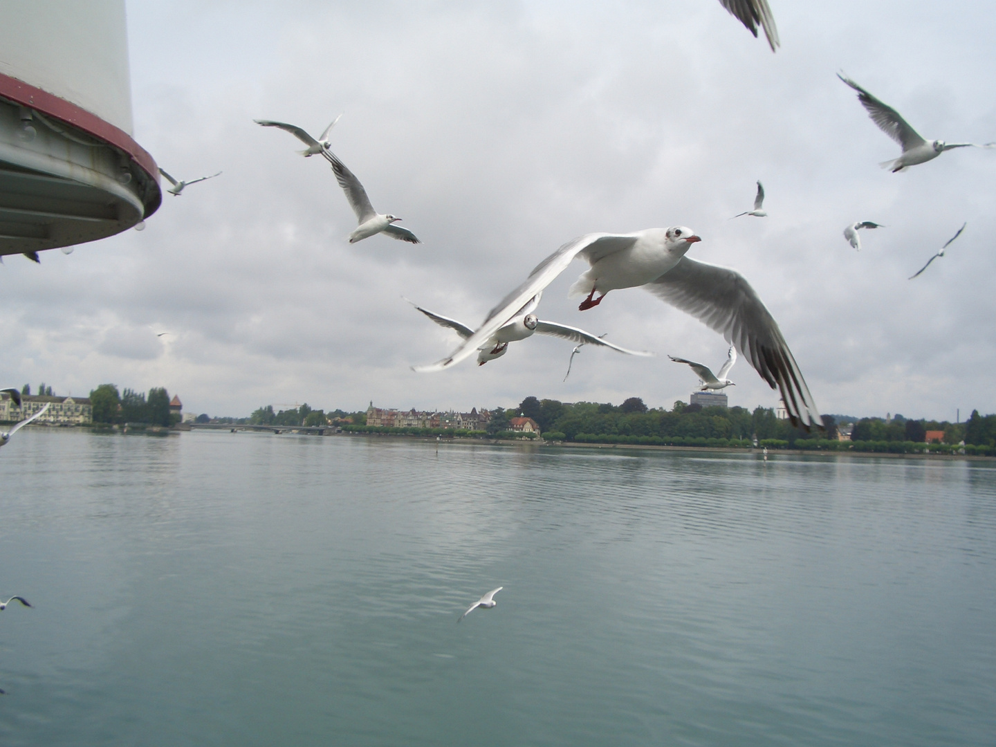 am Bodensee