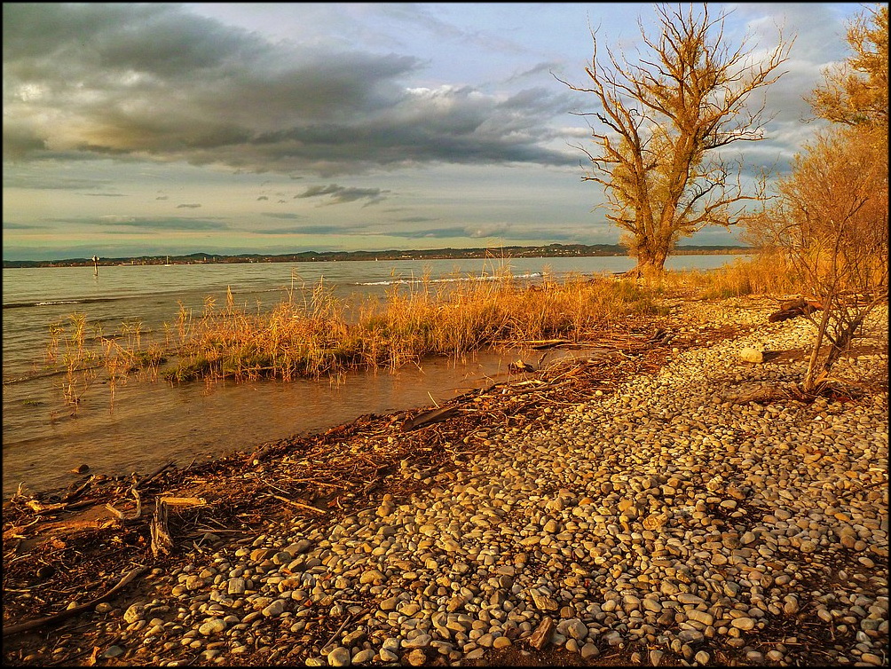 Am Bodensee